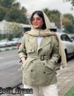 بارونی مدل دیناز