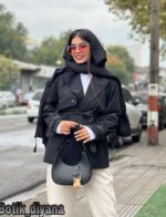 بارونی مدل دیناز